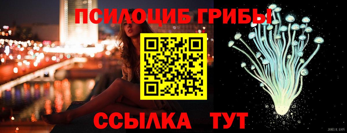 Изобильный  Псилоцибиновые грибы Psilocybine cubensis  Галлюциногенные грибы MAGIC MUSHROOMS  Вход с VPN 