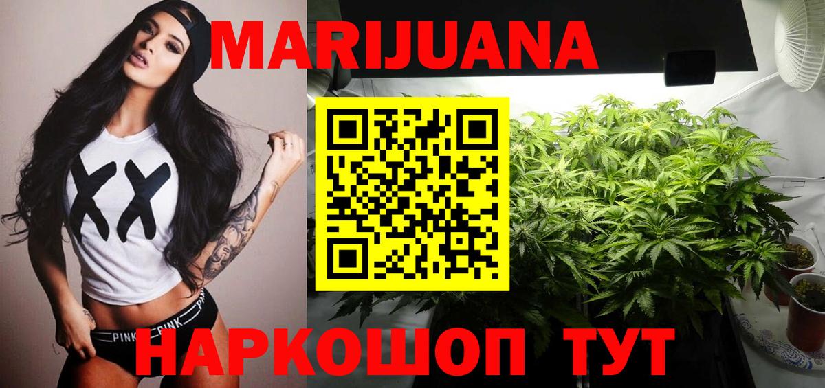 Каннабис планчик Изобильный